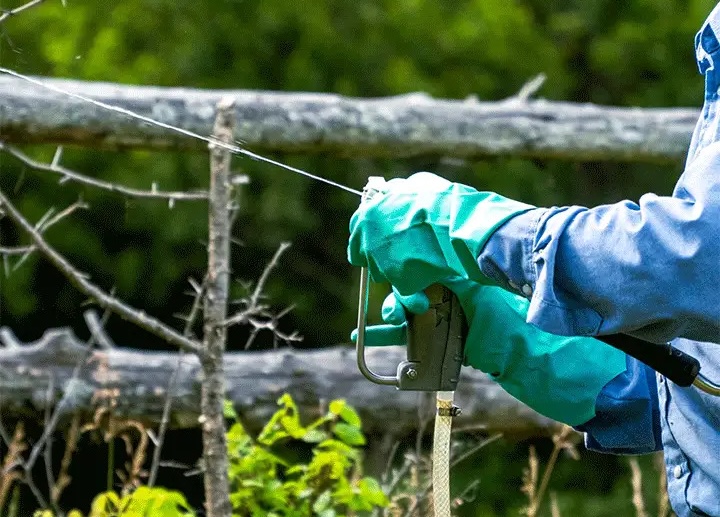 dos pistolos shipstation thumbnail