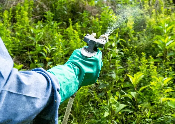 dos pistolos shipstation spray 3