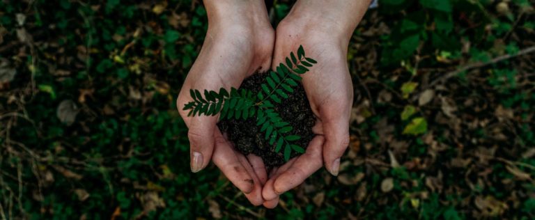 National Earth Day Event Feature