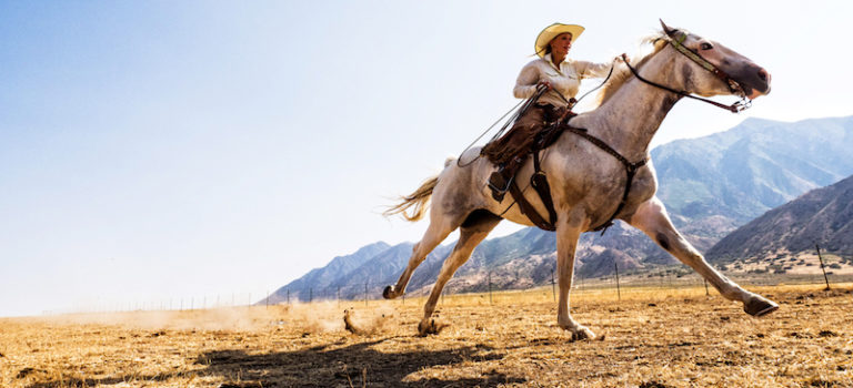 Ecommerce Roundup - August 7