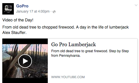 go pro video of the day